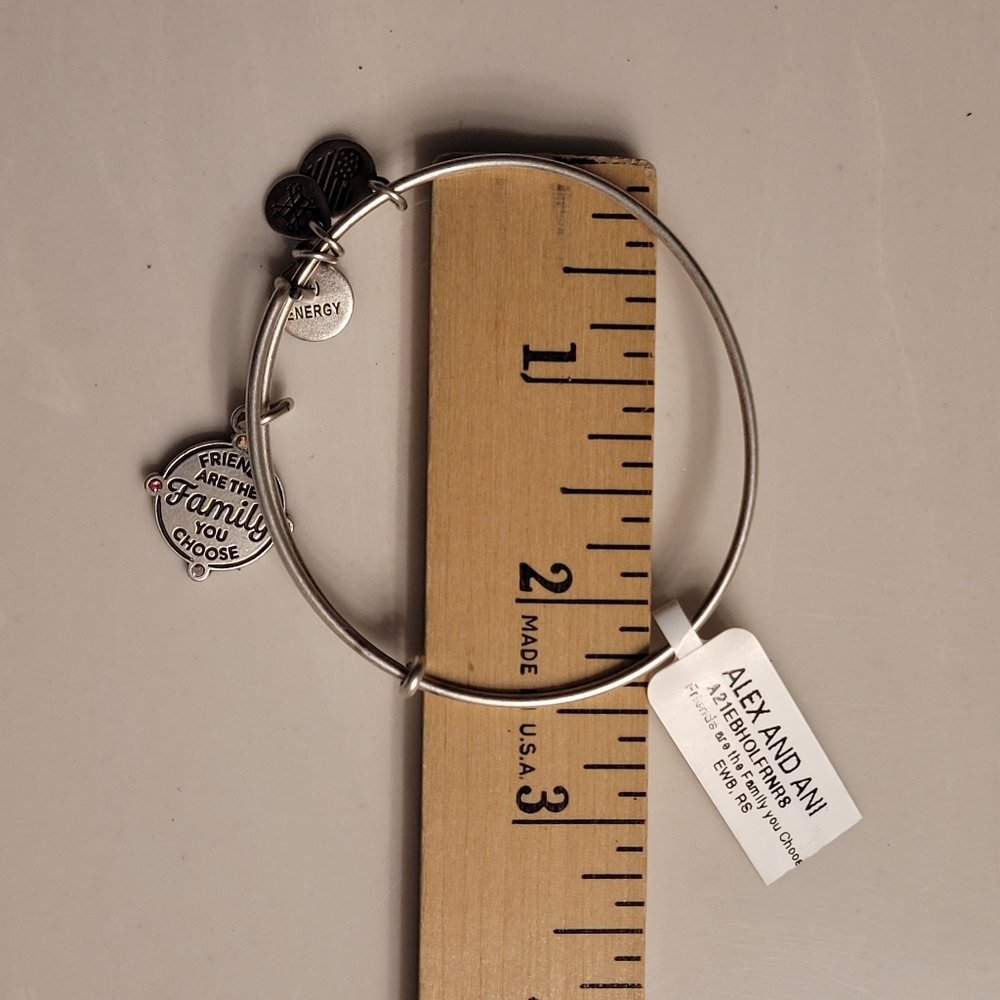 Alex & Ani Friends Are The Family You Choose Charm Bangle Bracelet Silver-tone - Picture 10 of 16